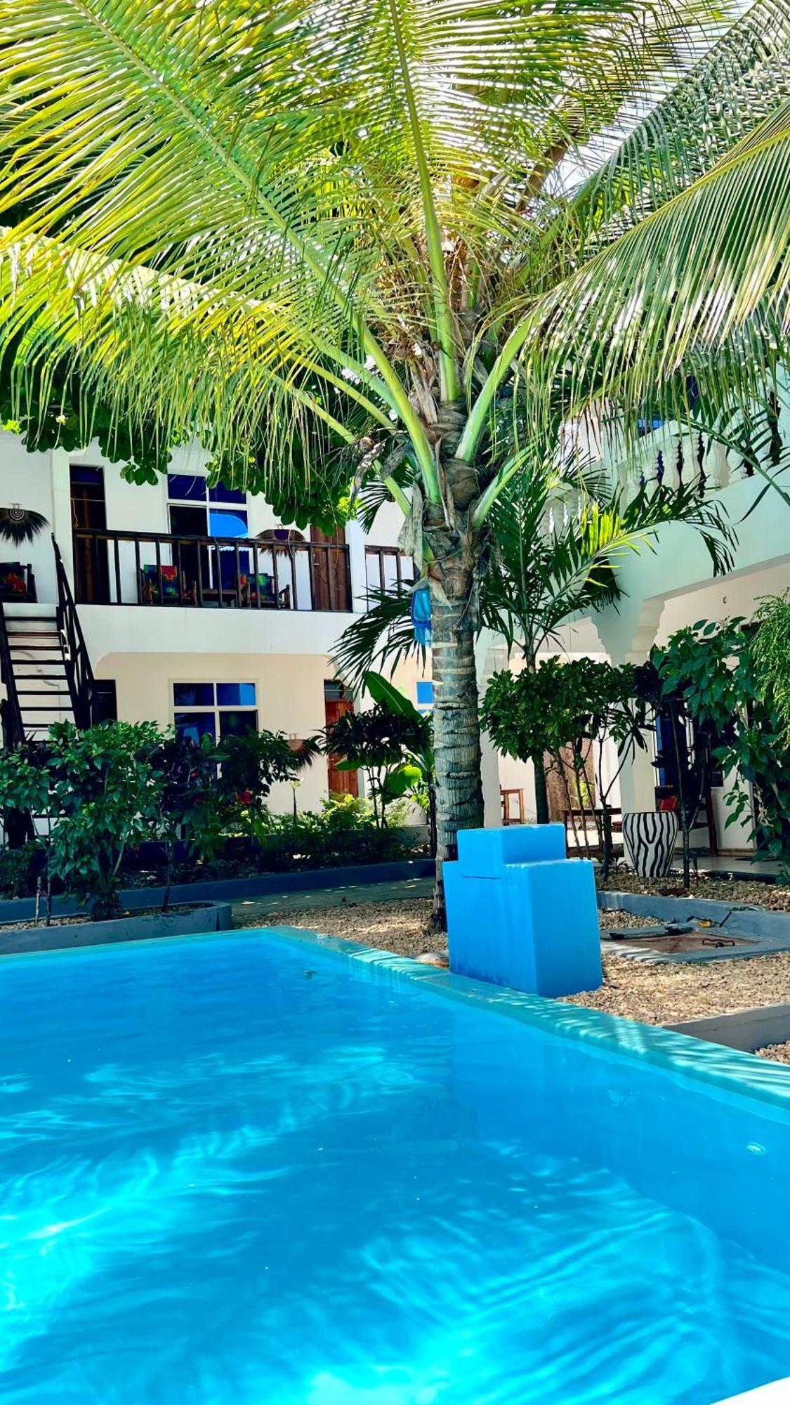 Kilimanjaro Bed & Breakfast Nungwi Exterior photo